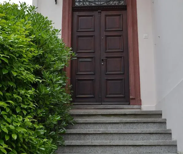 Paracelsus Stadt Daire *